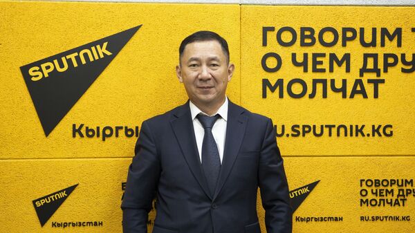 Депозиттерди коргоо боюнча агенттиктин аткаруучу директору Кадырбек Букуев  - Sputnik Кыргызстан