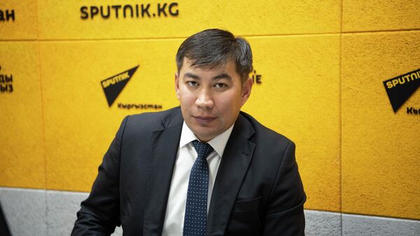 Токой кызматынын токойду коргоо, сактоо жана камсыздоо башкармалыгынын башчысы Эрнист Токтоназаров - Sputnik Кыргызстан