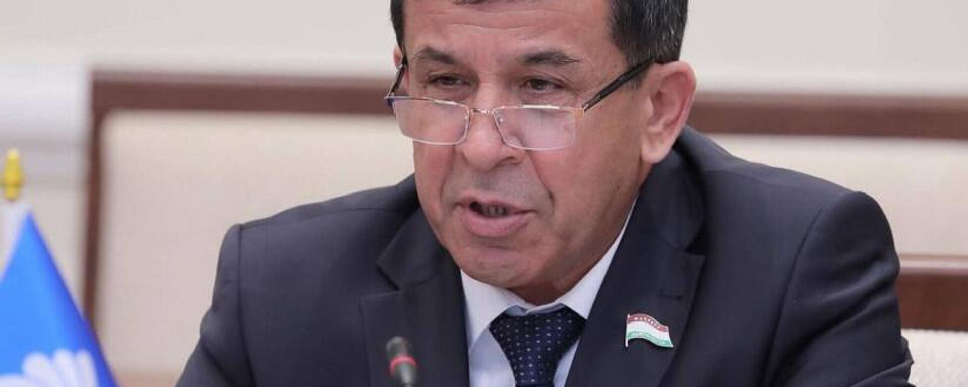 КМШ Парламенттер аралык ассамблеясынын байкоочулар тобунун координатору Махмадали Ватанзода  - Sputnik Кыргызстан, 1920, 05.11.2025