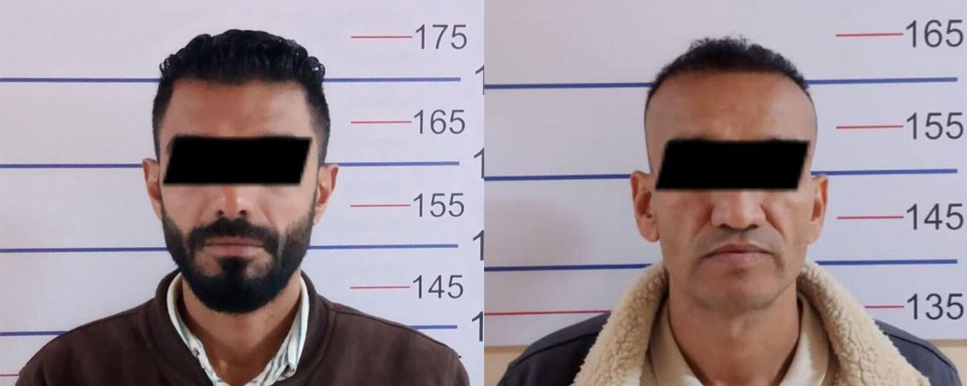 Задержание иностранцев по подозрению в даче взятки милиционеру - Sputnik Кыргызстан, 1920, 05.11.2025