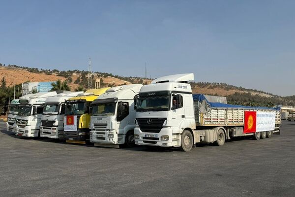 Маалыматта колдоо атайын кызмат, Тышкы иштер министрлиги болуп Түркиянын мамлекеттик органдарынын жардамы менен уюштурулганы айтылат - Sputnik Кыргызстан