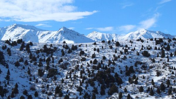  Тоодогу кыш  - Sputnik Кыргызстан