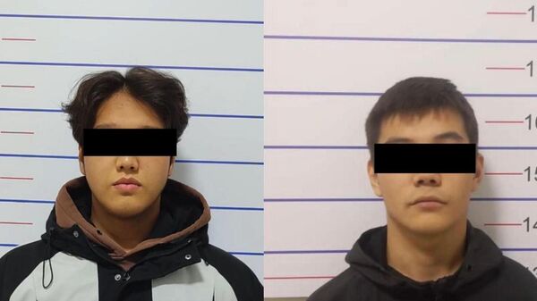 Задержание подозреваемых в кибермошенничестве в Бишкеке - Sputnik Кыргызстан