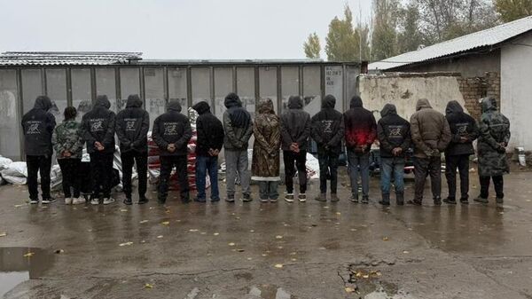 Незаконная работа 12 иностранных граждан на территории СЭЗ в Бишкеке - Sputnik Кыргызстан