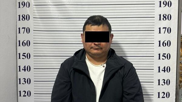 Задержание и этапирование в Кыргызстан члена ОПГ по прозвищу Додик - Sputnik Кыргызстан