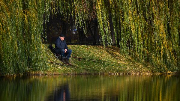 Мужчина ловит рыбу на берегу пруда - Sputnik Кыргызстан