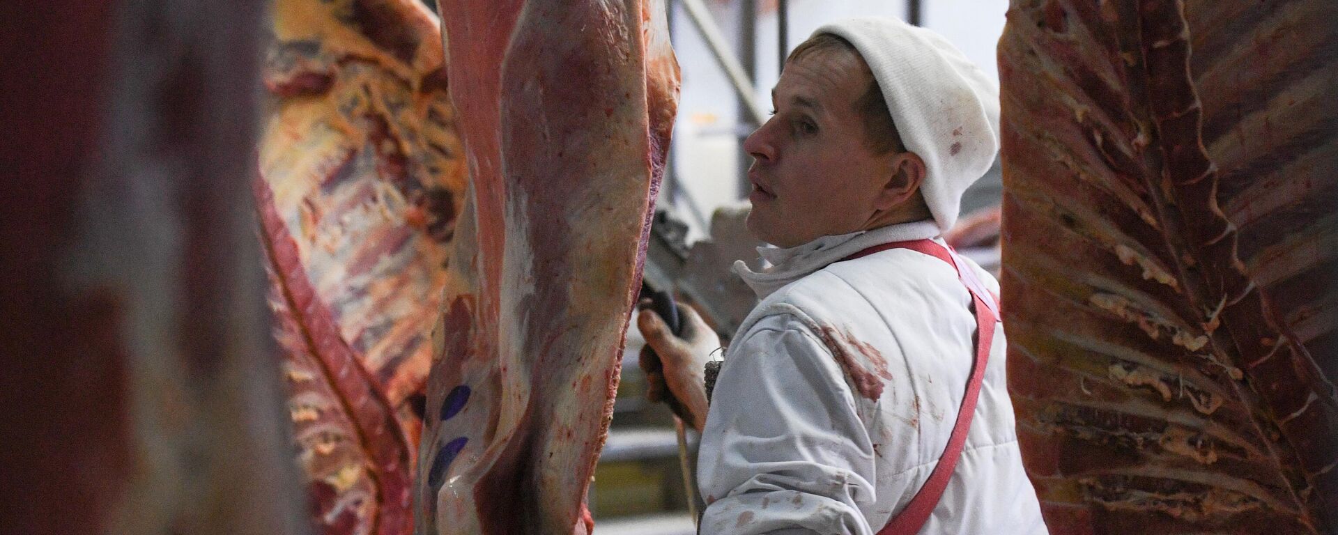 Разделка туш говядины в цехе. Архивное фото - Sputnik Кыргызстан, 1920, 13.11.2025