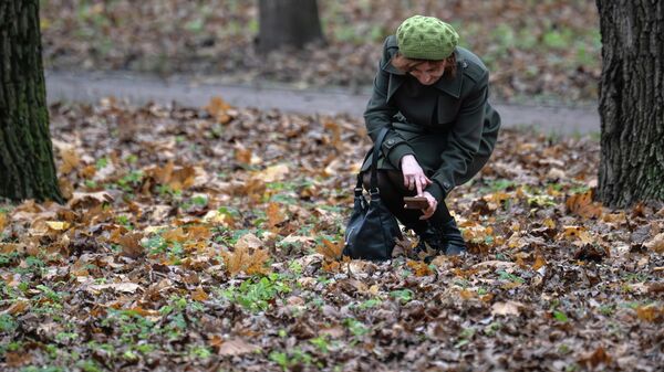 Женщина в парке фотографирует листья. Архивное фото - Sputnik Кыргызстан