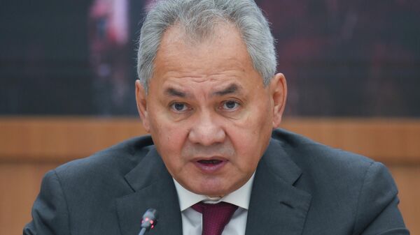 Секретарь Совета безопасности РФ Сергей Шойгу  - Sputnik Кыргызстан
