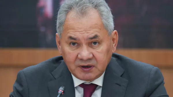 Секретарь Совета безопасности РФ Сергей Шойгу  - Sputnik Кыргызстан