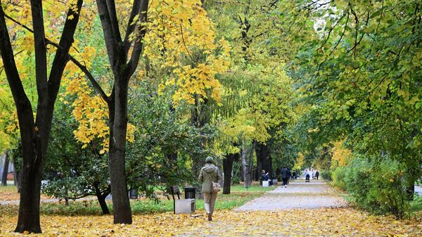 Паркта сейилдеп жүргөн аял. Архив - Sputnik Кыргызстан