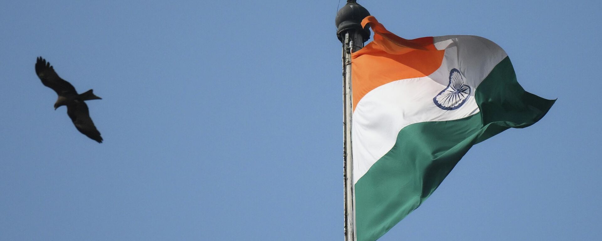 Флаг Индии. Архивное фото - Sputnik Кыргызстан, 1920, 17.11.2025