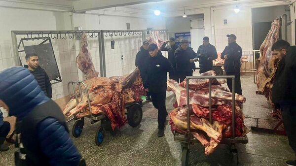 Рейд ГКНБ по регулированию цен на мясо в Бишкеке - Sputnik Кыргызстан