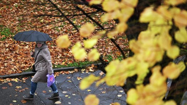 Жамгыр жаап жатканда сейил бакта басып бараткан аял - Sputnik Кыргызстан