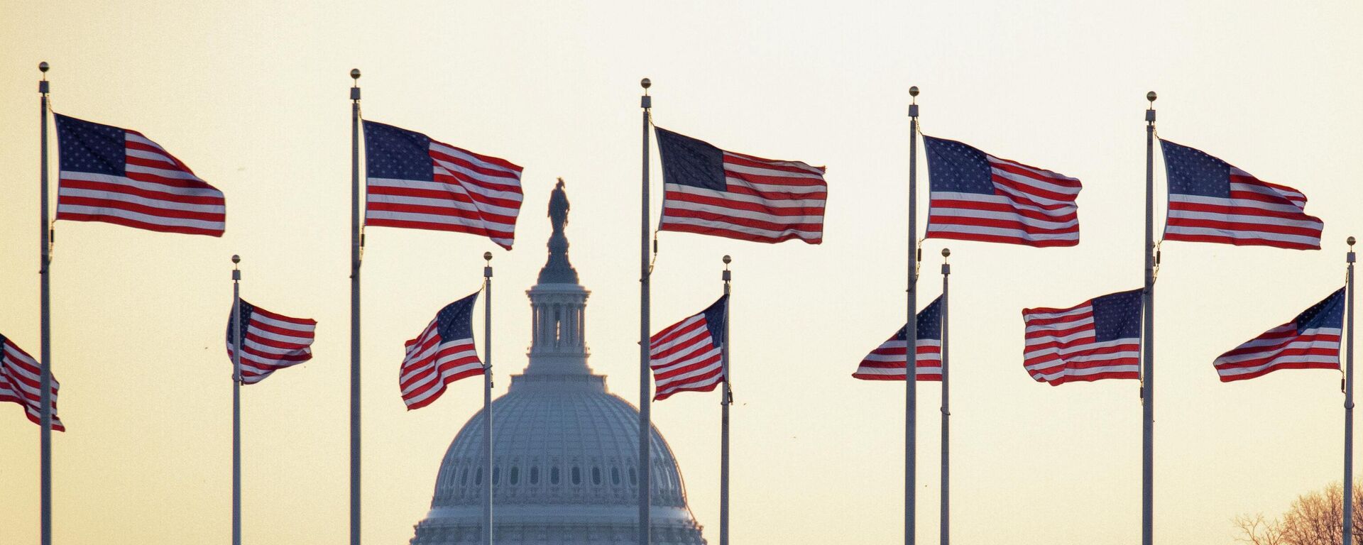 Американские флаги на фоне Капитолия - Sputnik Кыргызстан, 1920, 19.11.2025