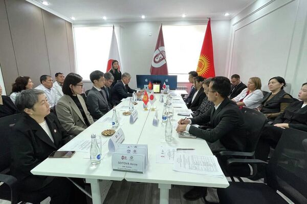 Долбоор беш жылдык мөөнөткө иштейт - Sputnik Кыргызстан