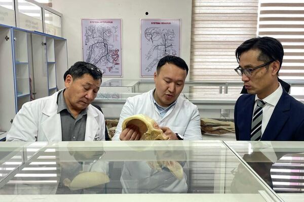 Маалыматка караганда, борбор Япония тараптын колдоосу менен ачылган. Инвестициянын суммасы 5 миллион долларды түзгөн - Sputnik Кыргызстан