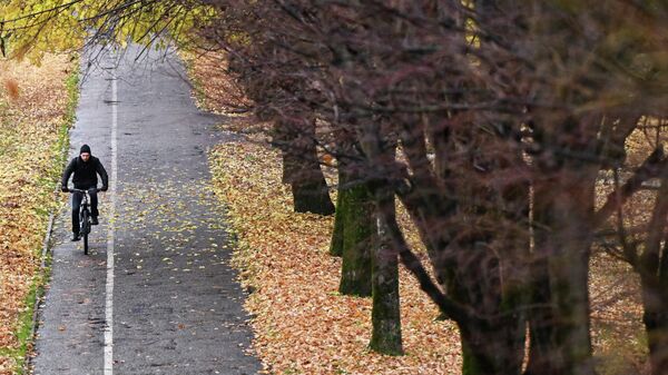 Киши паркта велосипед тээп баратат - Sputnik Кыргызстан