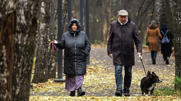 Когда в Кыргызстане похолодает — прогноз погоды с 20 по 26 ноября