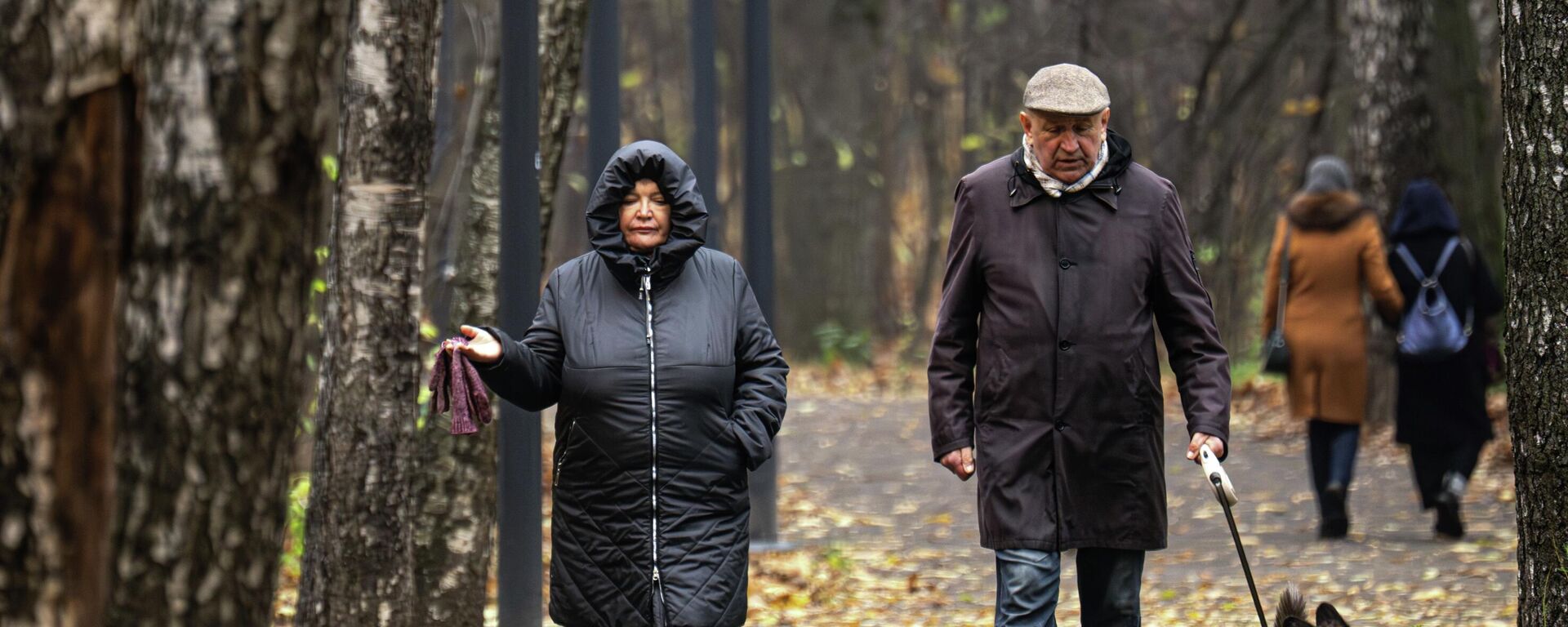 Горожане в парке во время прогулки - Sputnik Кыргызстан, 1920, 19.11.2025