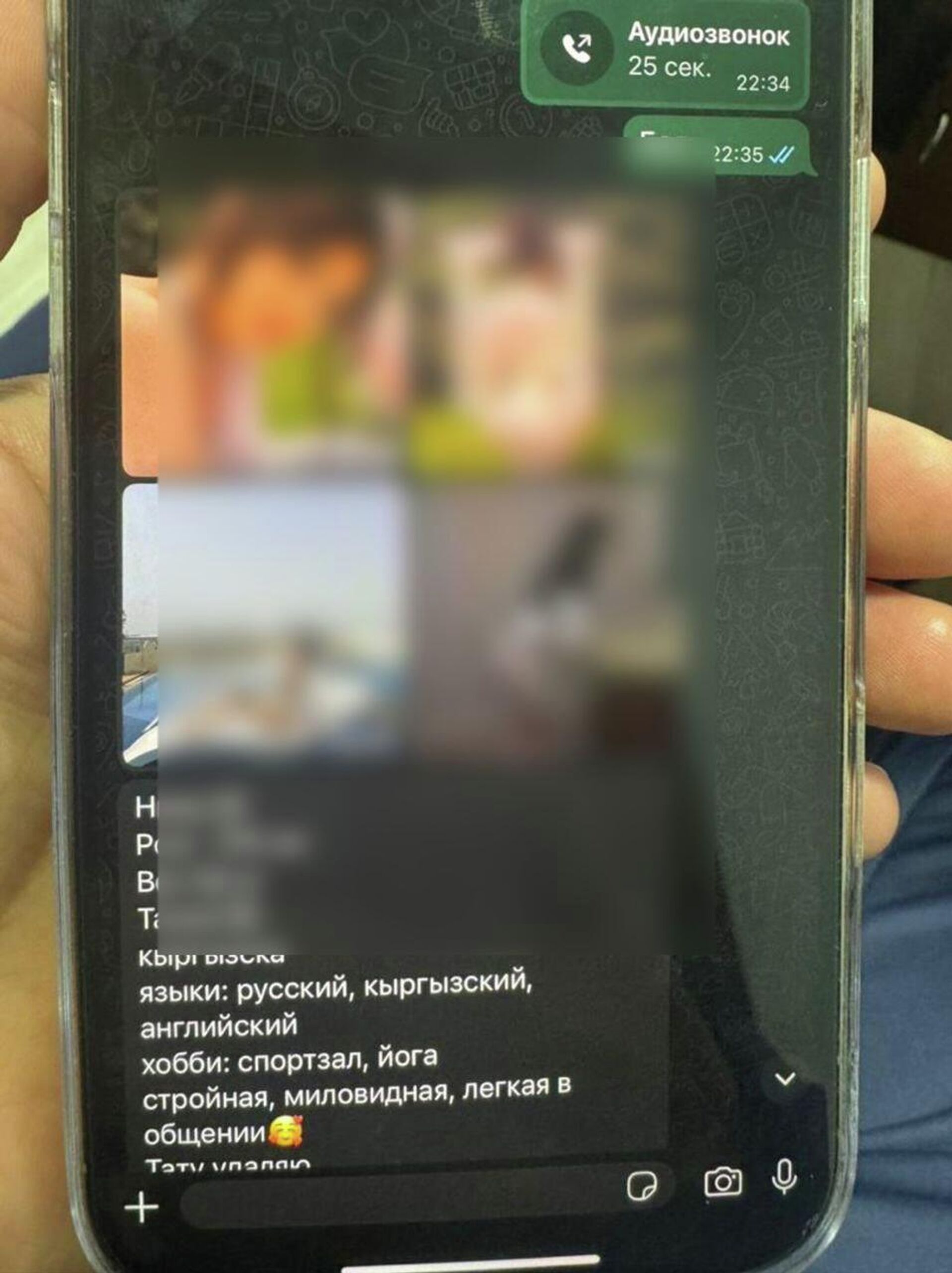 Задержание девушек предоставлявших интимные услуги в Бишкеке - Sputnik Кыргызстан, 1920, 20.11.2025