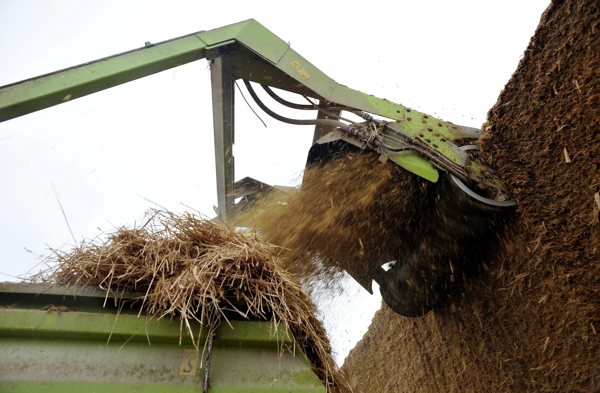 Разведение скота на племенном заводе в Тамбовской области - Sputnik Кыргызстан, 1920, 20.11.2025