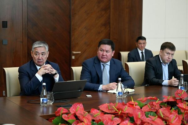 Ар бир токен бир АКШ долларына барабар болуп, алтын менен толук камсыздалган - Sputnik Кыргызстан