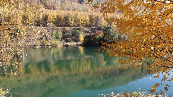 Ак-Түз капчыгайындагы күз - Sputnik Кыргызстан