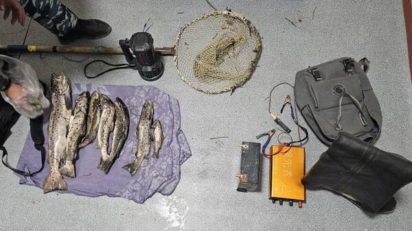 Пресечение браконьерского промысла с использованием электротока - Sputnik Кыргызстан