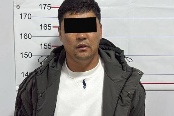 МВД: задержаны 10 человек, которые готовили массовые беспорядки - Sputnik Кыргызстан