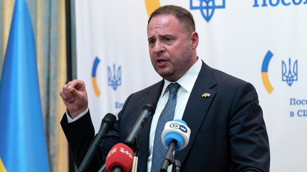 Владимир Зеленскийдин кеңсесинин башчысы Андрей Ермак  - Sputnik Кыргызстан