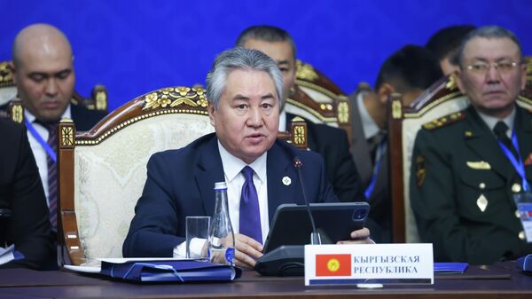 Кыргызстандын тышкы иштер министри Жээнбек Кулубаев  - Sputnik Кыргызстан