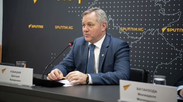 Генеральный секретарь Совета Межпарламентской ассамблеи СНГ Дмитрий Кобицкий - Sputnik Кыргызстан