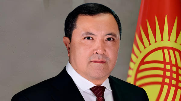 И.о. главы Минздрава Каныбек Досмамбетов - Sputnik Кыргызстан