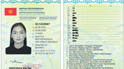 Водительские права образца 2025 года