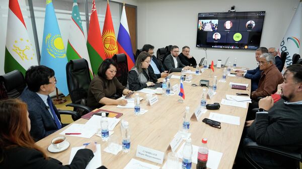 Экспертная дискуссия ОДКБ в Центральной Азии: безопасность, суверенитет, региональная устойчивость - Sputnik Кыргызстан