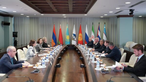 Совещание уполномоченными органами под председательством министра ЕЭК - Sputnik Кыргызстан