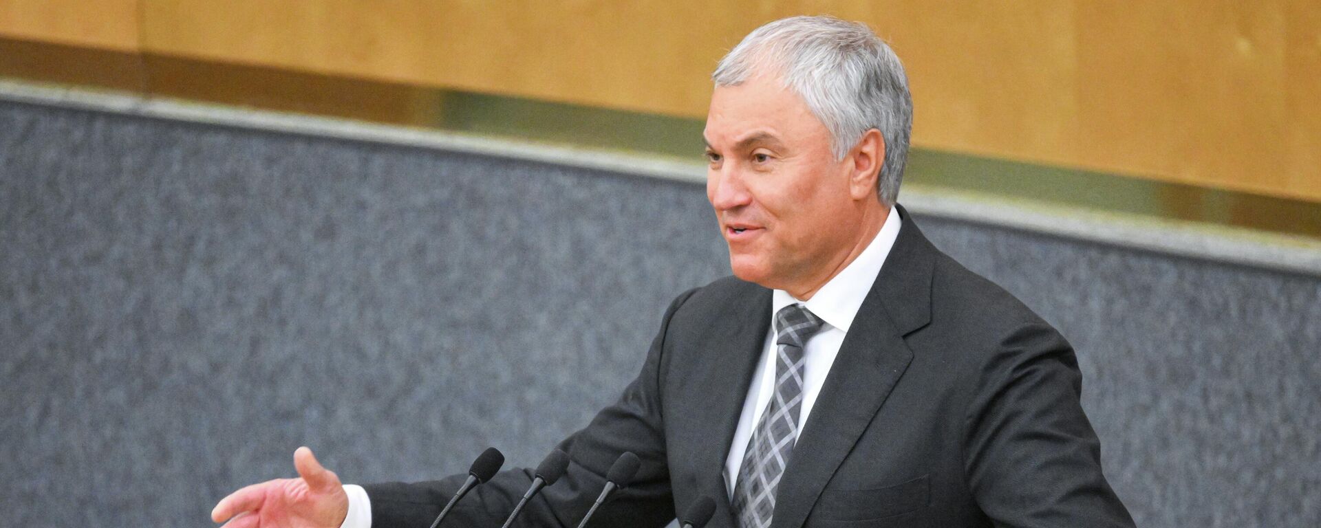 РФ Мамлекеттик Думасынын жана ЖККУнун Парламенттик ассамблеясынын төрагасы Вячеслав Володин  - Sputnik Кыргызстан, 1920, 08.12.2025