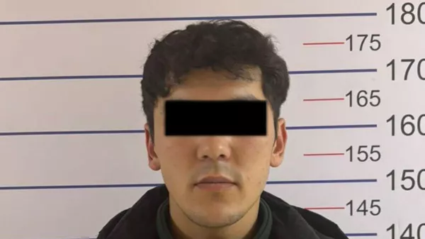 Алдамчылык боюнча шектүү - Sputnik Кыргызстан