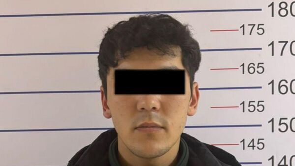 Алдамчылык боюнча шектүү - Sputnik Кыргызстан