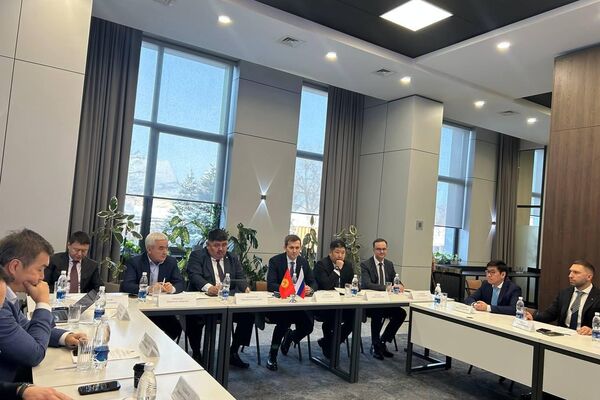 В мероприятии участвуют представители государственных органов, бизнес-сообщества двух стран и эксперты в сфере экономики - Sputnik Кыргызстан