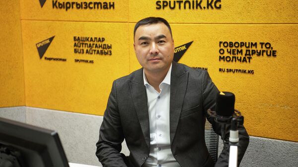 Президенттин иш башкармалыгына караштуу Транспорт каражаттарын жана айдоочулук курамды каттоо боюнча мамлекеттик борбордун айдоочулук курамды каттоо бөлүмүнүн башчысы Адилет Сейталиев - Sputnik Кыргызстан