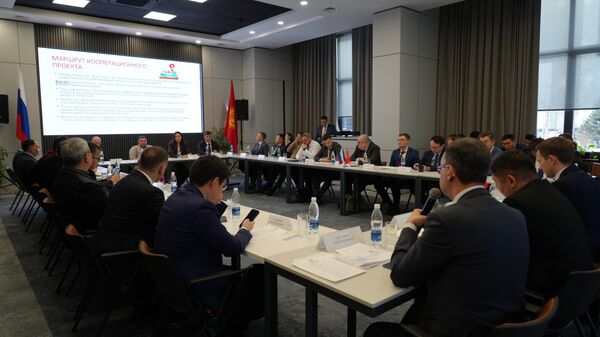 Что привлекает российских бизнесменов в Кыргызстане — видео - Sputnik Кыргызстан