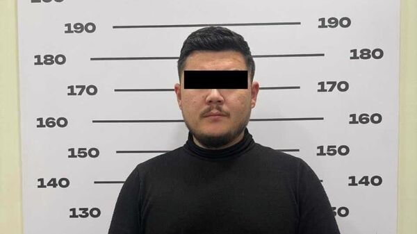 Задержание активиста Айбека Тенизбая по делу о разжигании межнациональной розни - Sputnik Кыргызстан