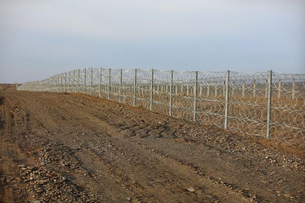 Толугу менен кийинки жылы бүтмөкчү - Sputnik Кыргызстан