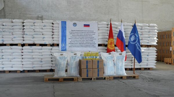 Россиядан Кыргызстанга гуманитардык жардамдын кезектеги партиясы келди. Видео - Sputnik Кыргызстан