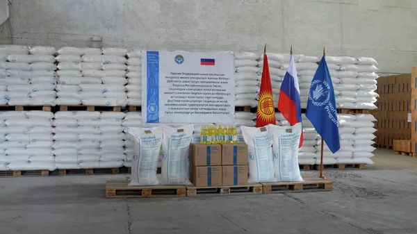 Россиядан Кыргызстанга гуманитардык жардамдын кезектеги партиясы келди. Видео - Sputnik Кыргызстан