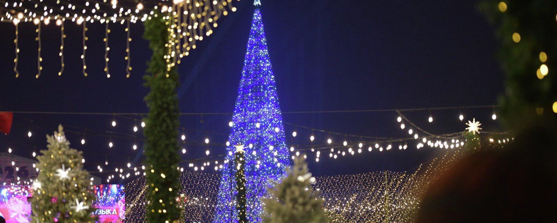 Церемония зажжения главной новогодней елки страны в Бишкеке  - Sputnik Кыргызстан, 1920, 01.01.2026