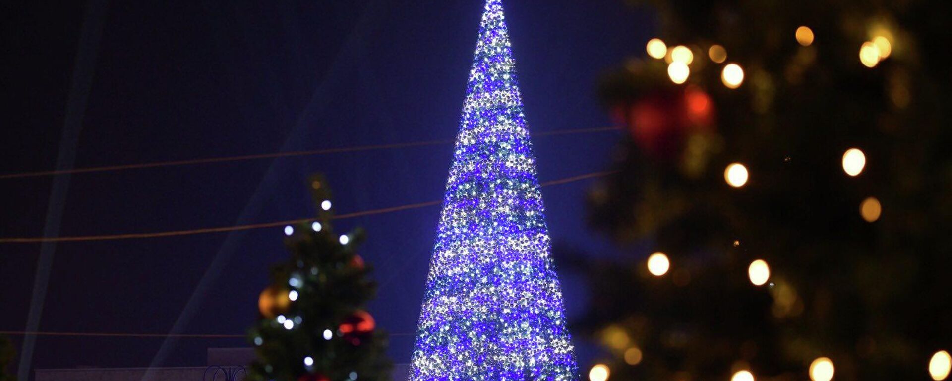 Ала-Тоодо башкы балатынын оту жанды - Sputnik Кыргызстан, 1920, 15.12.2025