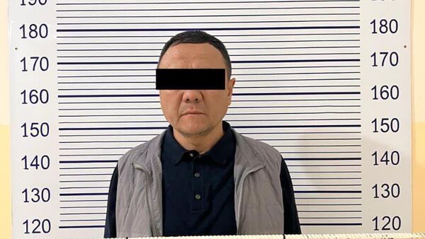 Көлбаев менен Досоновдун тобун каржылаган деп ишкер кармалды - Sputnik Кыргызстан